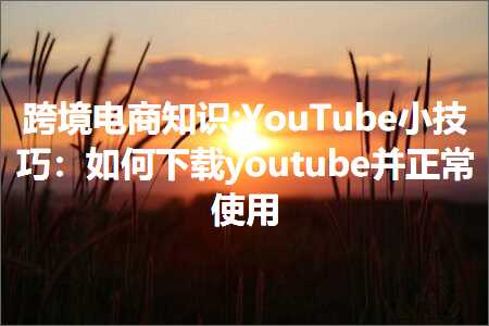 跨境电商知识:YouTube小技巧：如何下载youtube并正常使用